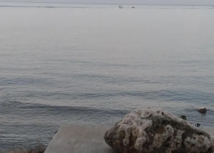 Albatross Seafront House